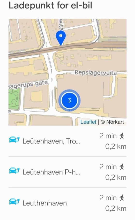 Romslig Studioleilighet Med Utsikt Over Kongensgate Appartement *