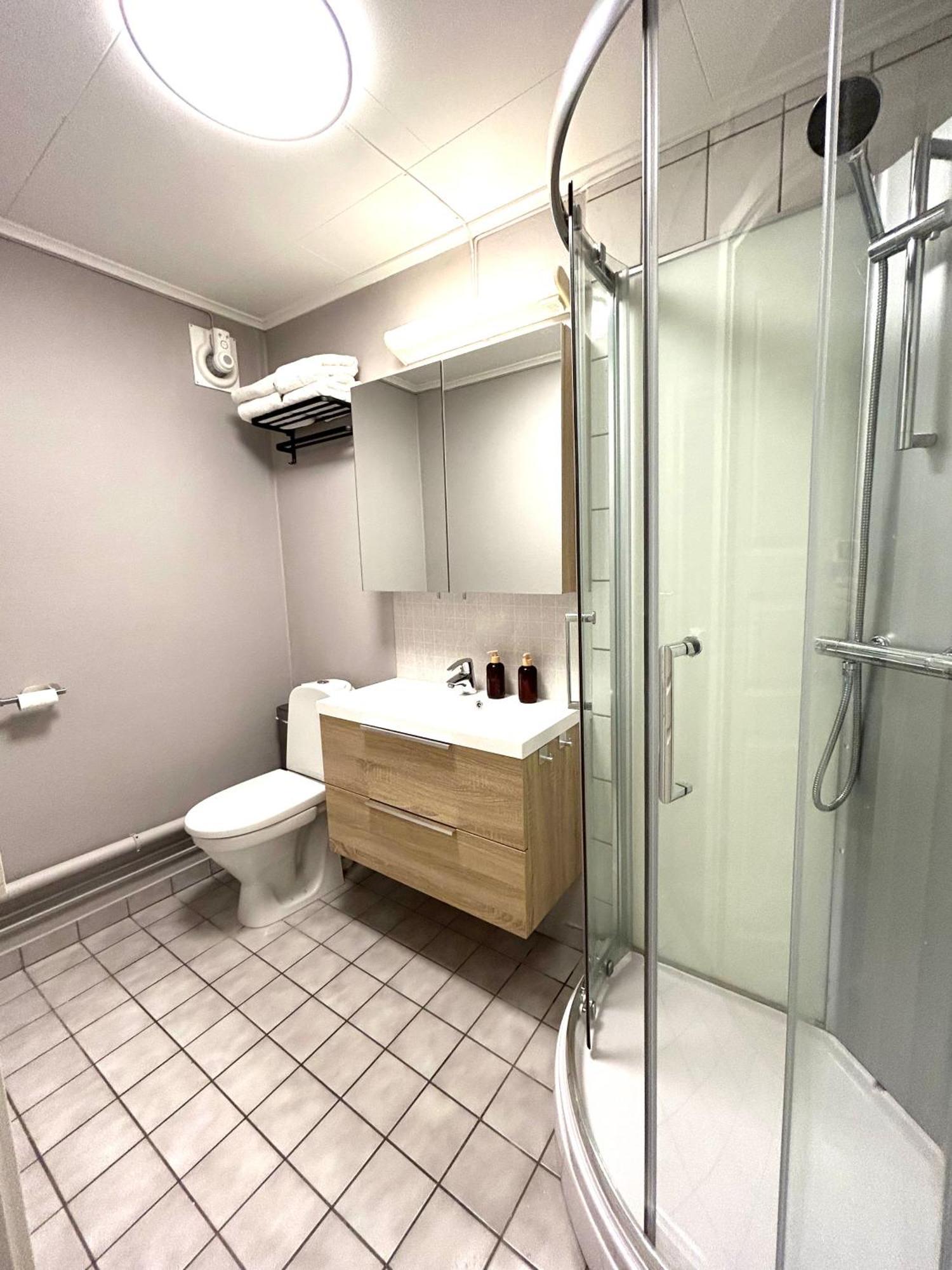 Romslig Studioleilighet Med Utsikt Over Kongensgate Appartement