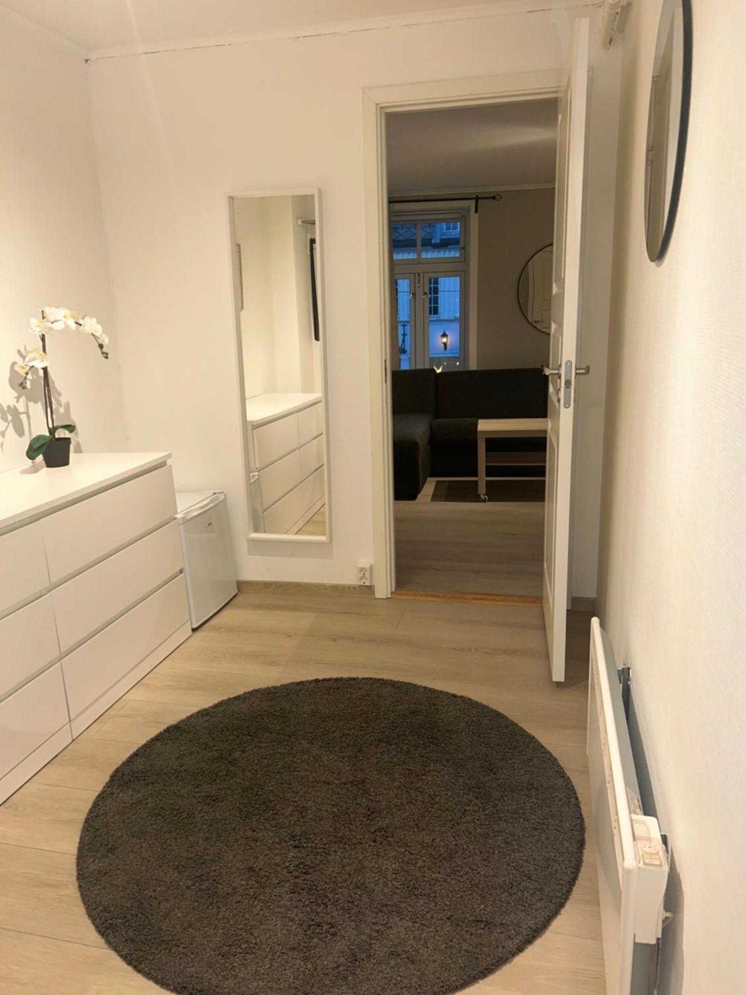 Appartement Romslig Studioleilighet Med Utsikt Over Kongensgate Trondheim