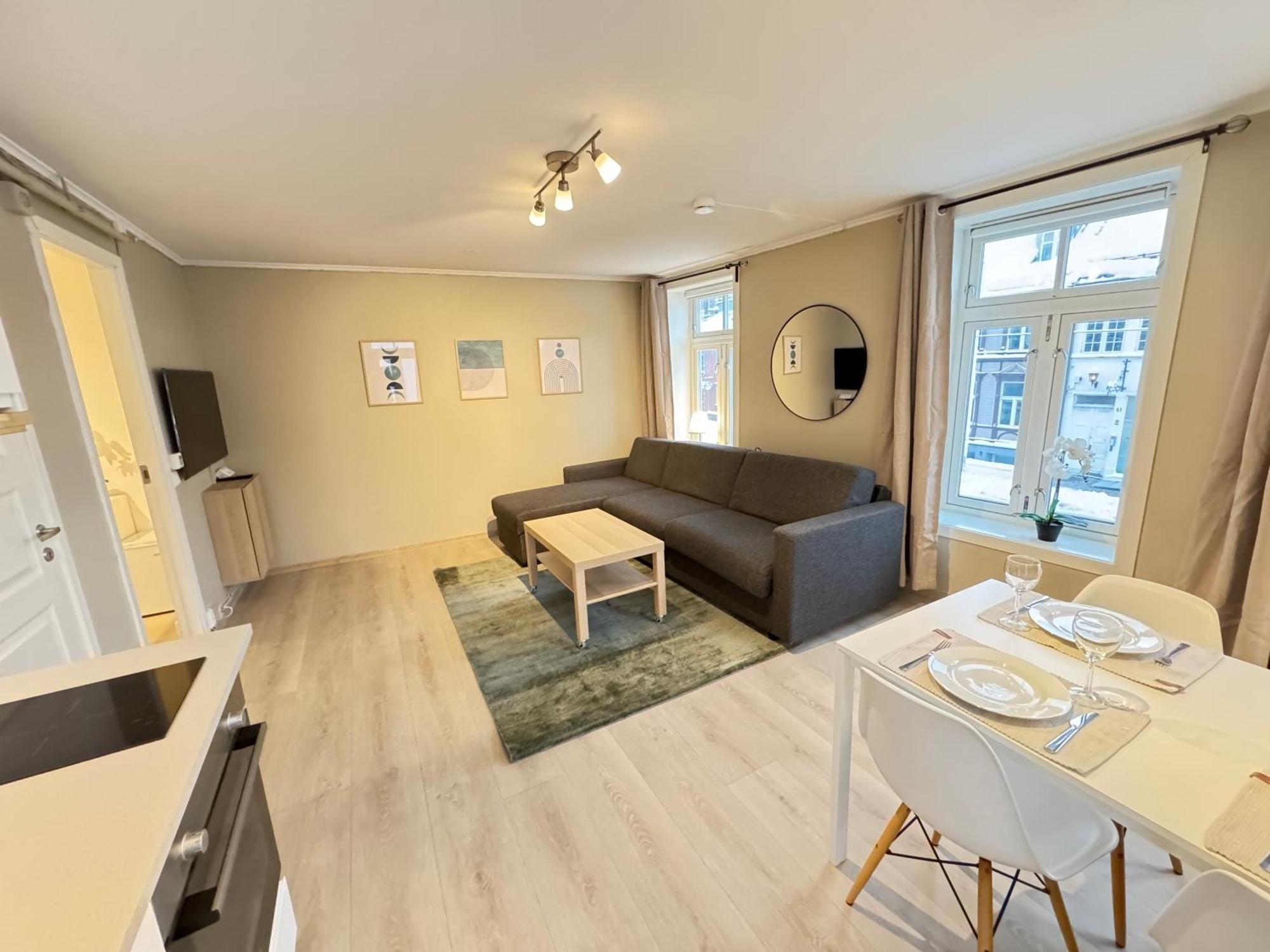 Romslig Studioleilighet Med Utsikt Over Kongensgate *