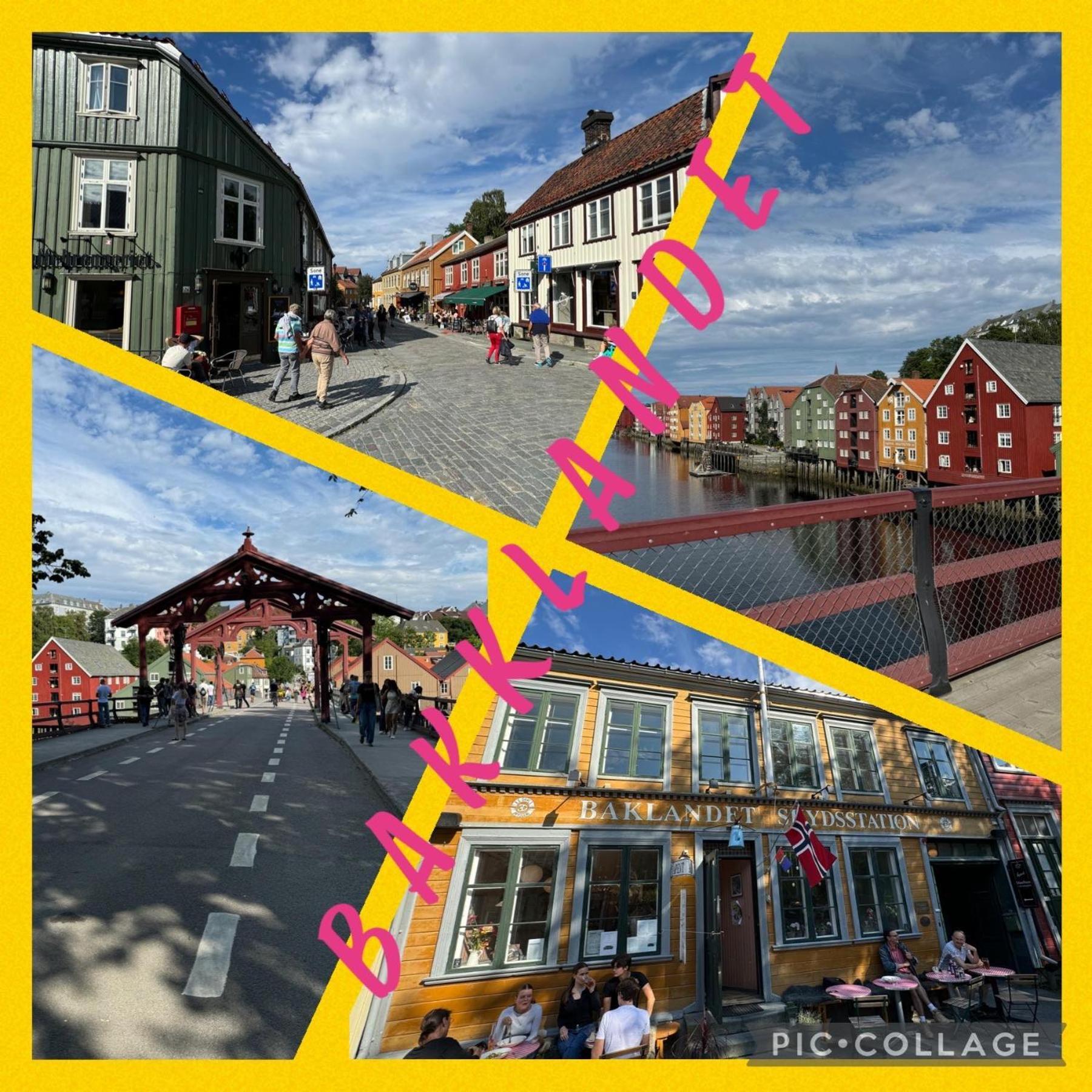 Romslig Studioleilighet Med Utsikt Over Kongensgate * Trondheim