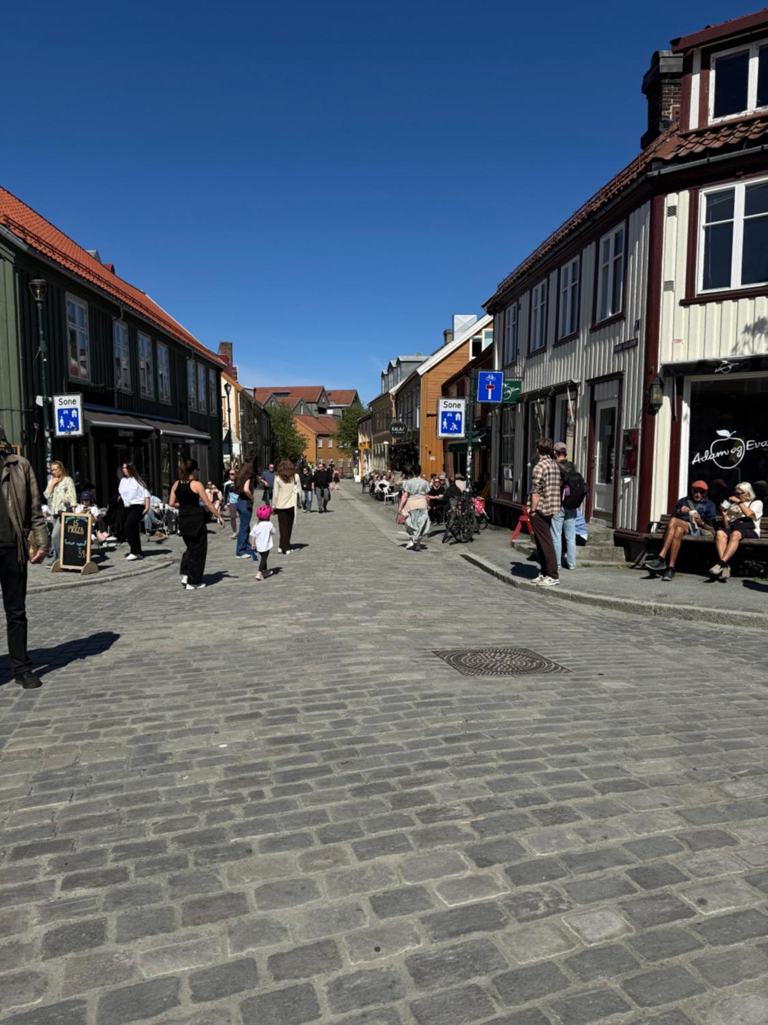 Romslig Studioleilighet Med Utsikt Over Kongensgate Appartement *